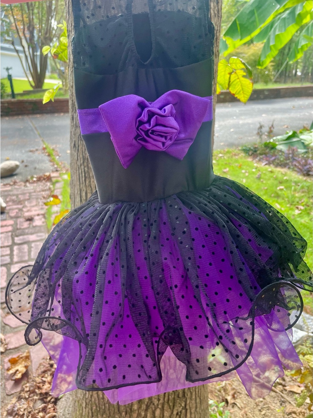 Revolution Purple and Black Tulle Dress with Rosette Sash